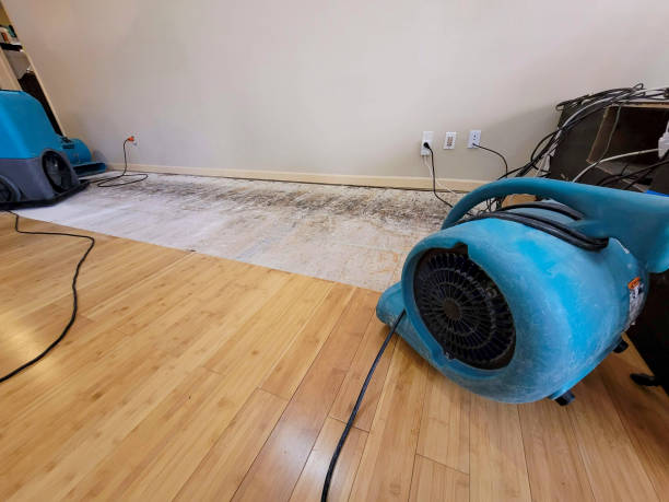 Professional Basement Flood Cleanup technician working in Decatur, TN